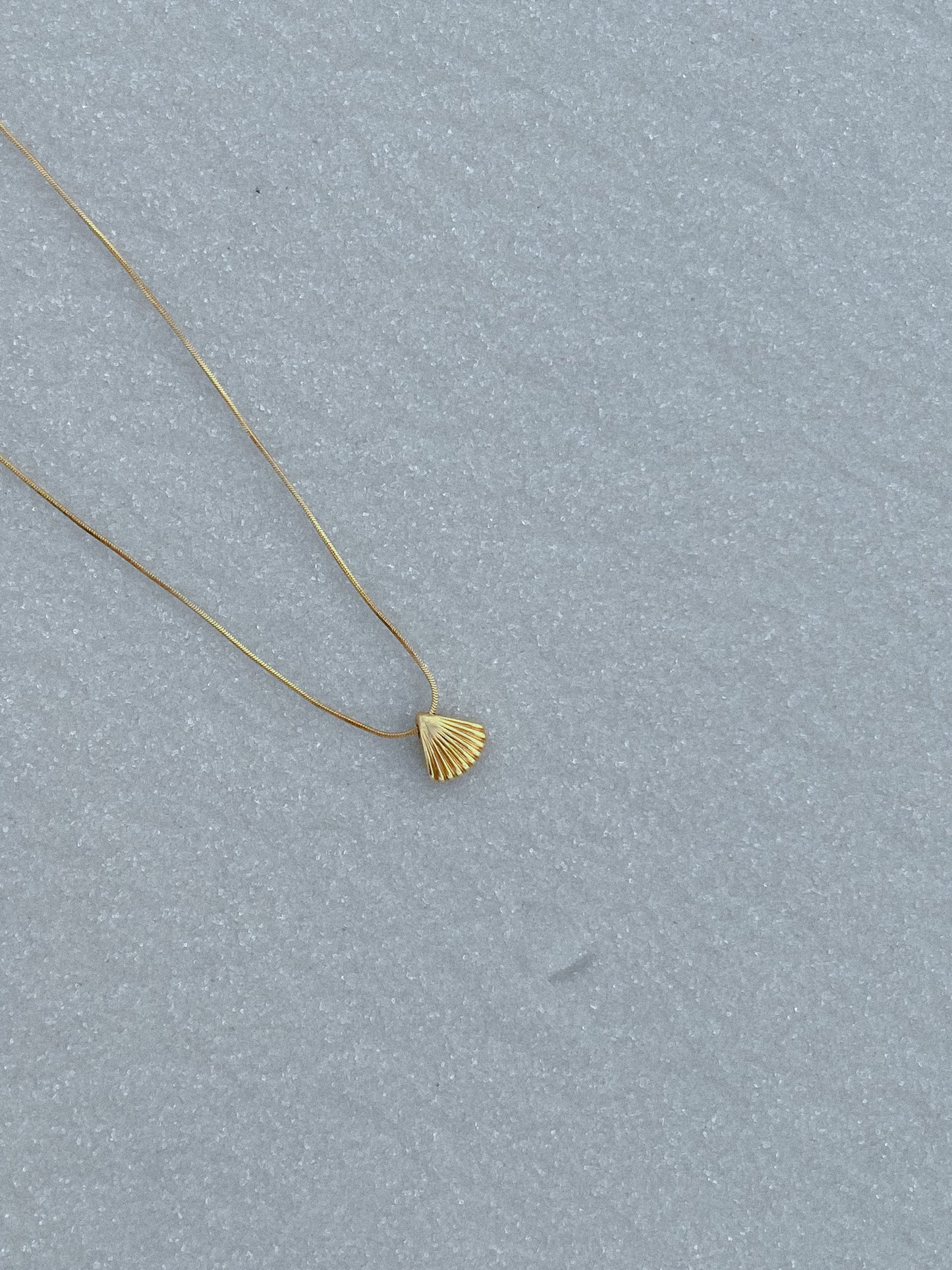 A Shell To Keep Necklace