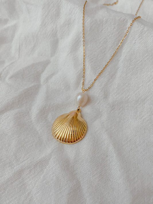 Large Shell + Pearl Necklace