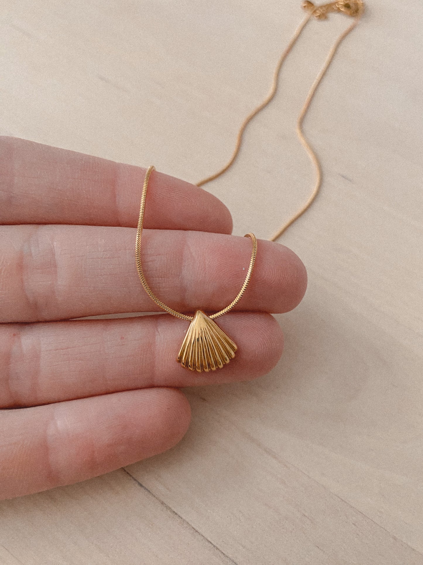 A Shell To Keep Necklace